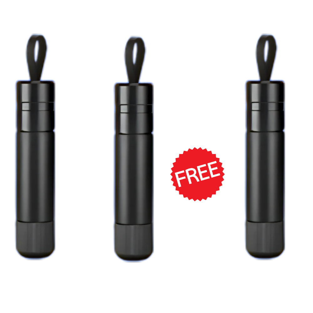 2x Safe Pro X + 1 FREE